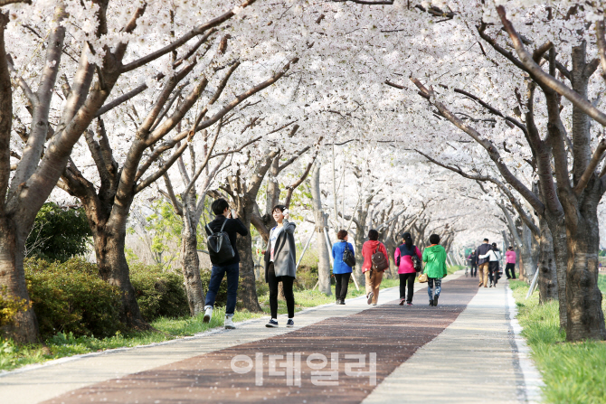  봄내음 가득한 부산...마음에 담기다