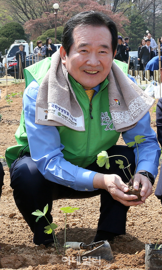 [포토]꽃 심는 정세균 국회의장