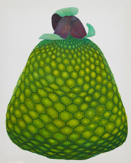 [e갤러리] 들여다 보니 아름답다…김보희 '투워즈'