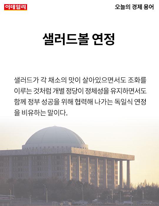 [카드뉴스] 오늘의 경제용어 - 샐러드볼 연정