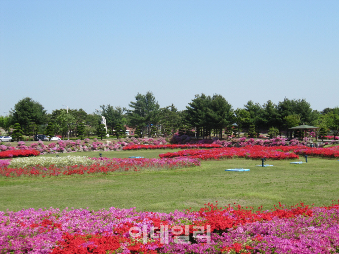 "대전 송촌·월평·신탄진 정수장으로 봄나들이 오세요"