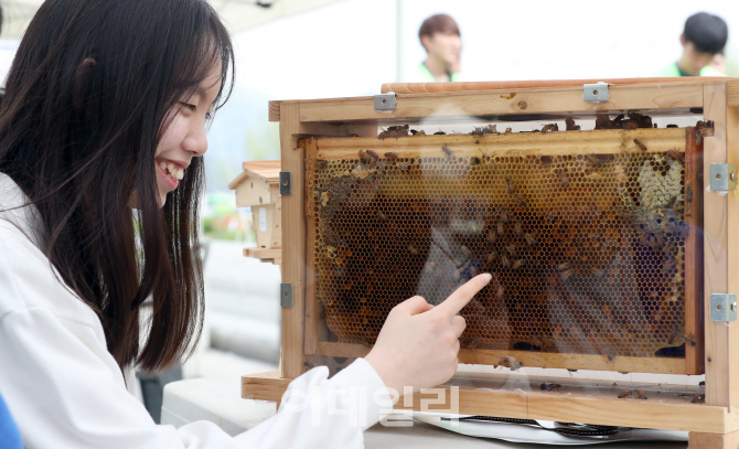 [포토]광화문 광장에 등장한 양봉장