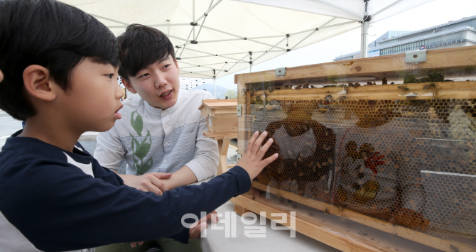 [포토]봄내음 가득한 세종대로