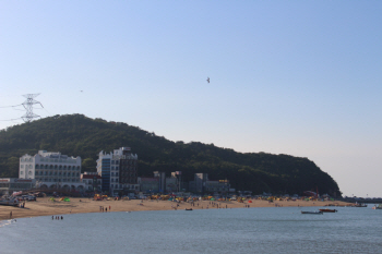 환경단체 "석탄화력 첫 감사 청구"..미세먼지 논란 확산