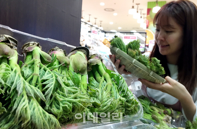 [포토] 선도좋은 순창 햇 참두릅 직송 판매