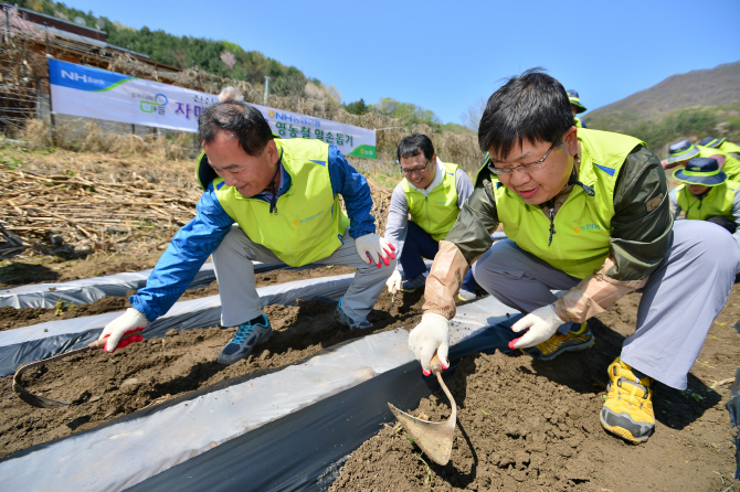 이경섭 농협은행장, 자매결연마을 영농철 일손돕기 나서