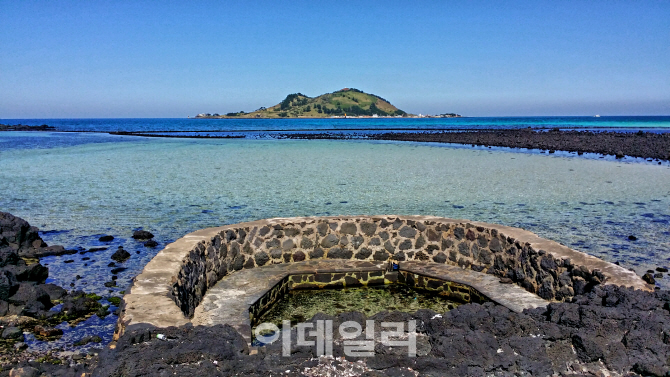 [제주5월②] 바다의 컬러링 '에메럴드, 스카이블루, 코발트 빛'