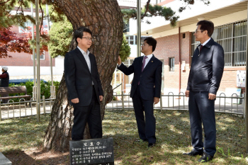 "우리 마을 수호신인 나무에 깃든 사연 아세요"