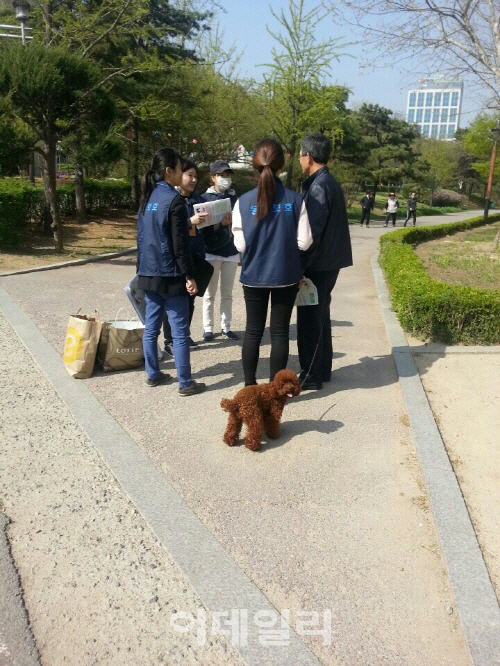 “펫티켓 지켜주세요”…동물 미등록시 과태료 40만원
