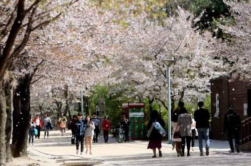 11월부터 서울숲·하늘공원 등서 음주 금지…한강 치맥은 허용