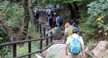 5월 등산객 안전사고 평균 3615건…실족·추락 주의해야