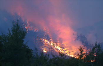  사소한 실수가 산과 들판을 불태운다