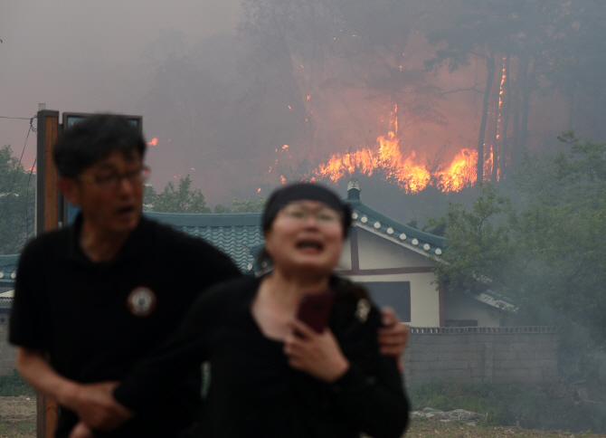 혈세 100억 들어간 산림재해통합정보시스템 산불나자 ‘먹통’(종합)