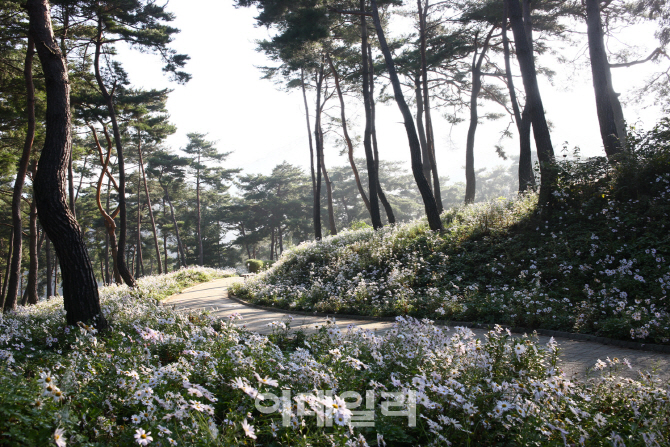 봄 여행주간 주요관광지 46곳 방문객 늘어