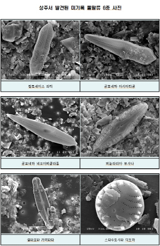 경북 상주서 천년전 미기록 돌말류 화석 6종 발견