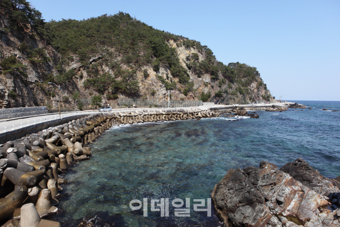 [드라이브①] 해안 비경 품은 환상의 드라이브 ‘강릉 헌화로’