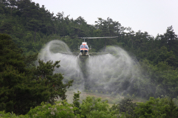 산림청, 헬기 이용한 산림병해충 항공 방제 나서