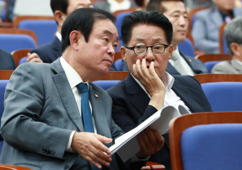 박지원 “공동 비대위원장 체제 비상식적, 허둥대면 망한다”