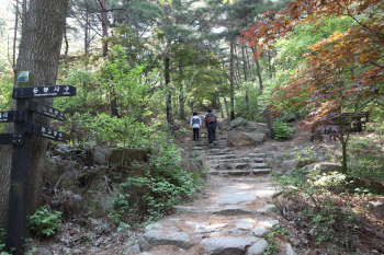  초여름의 싱그러움에 빠지다 '용봉산자연휴양림'