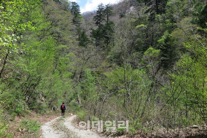 [힐링여행①] 첩첩 산골 은둔의 유토피아 ‘미천골자연휴양림’