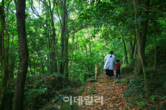 [숲길을 걷자③] 우리나라 최대의 난대림 '완도수목원'