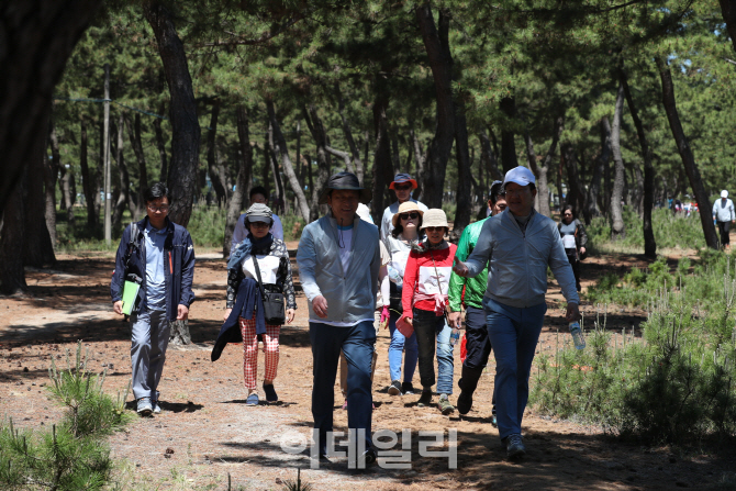 바우길도 걷고 해파랑길도 걷고