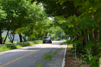 우거진 수풀 사이로 호수 펼쳐지는 ‘안성 금광호수’