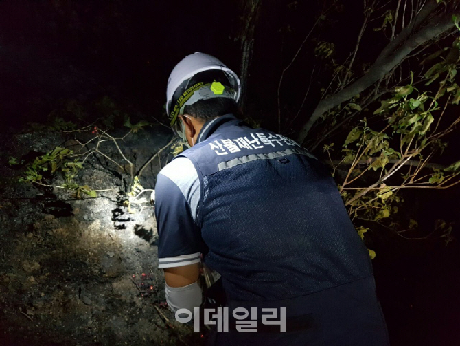 산불 올들어 여의도 4.4배 넓이 불태웠다…5월 역대 최대 102건