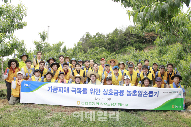 [포토]농협상호금융, 가뭄 피해 농업인 위로하고 일손 도와