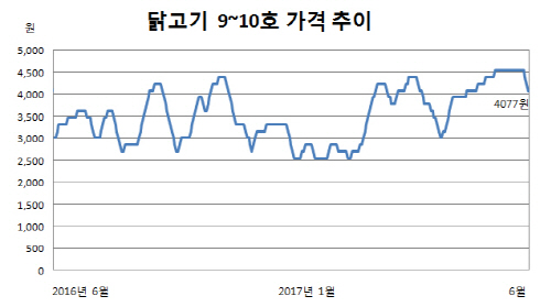 고병원성 AI 확산…닭고기·달걀 가격 '꿈틀'