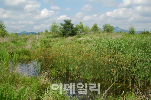 월드컵공원, 동·식물 종수 1557종 확인…공원 조성전대비 2배 이상↑