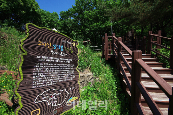 [6월 걷기좋은길②] 철원의 모든 역사 품은 ‘소이산 생태숲 녹색길’