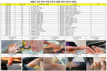 해수부 "세월호 안전사고 17건, 산업재해 1건 발생"