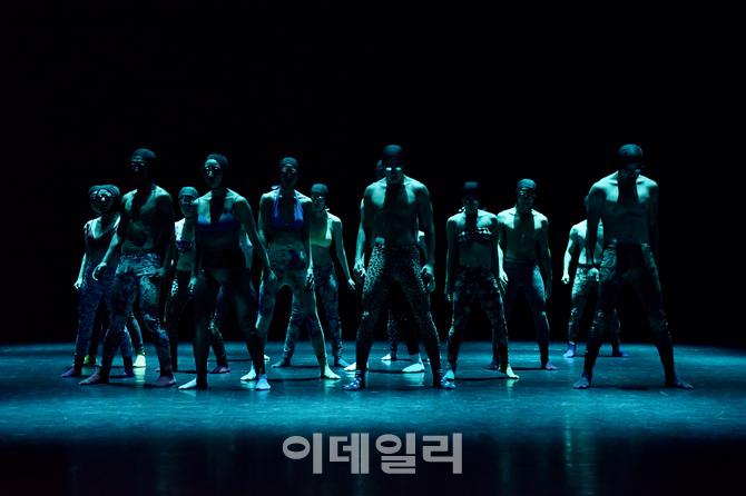 한국 현대무용 동유럽 상륙…'바디 콘서트' 첫 선