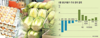 정부 편법 가격인상과의 전쟁선포…치킨 이어 밥상물가 단속(종합)