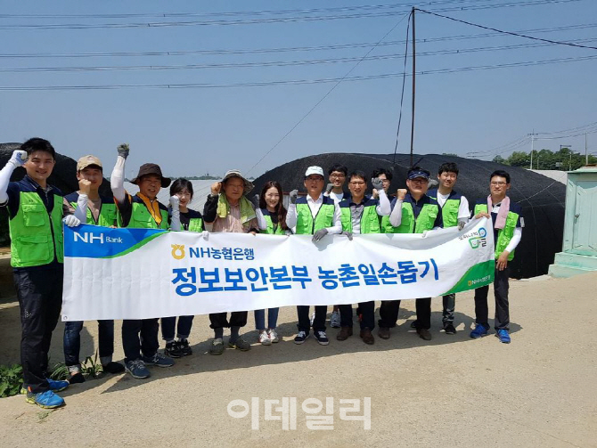 [포토]농촌 봉사활동 펼치는 NH농협은행