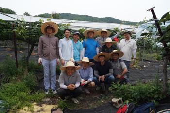 NH-아문디운용, 농촌일손돕기 봉사활동 개최