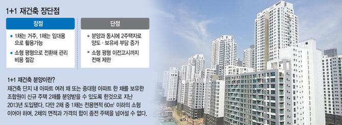 전매 제한에 양도세 부담도… '1+1 재건축' 큰 매력없네