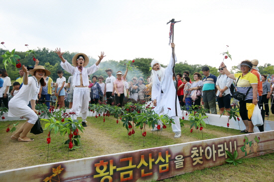 함양산삼축제·물레방골축제, 오는 9월 8일부터 함께 진행