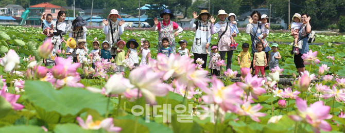 [포토]'활짝 핀 홍연'