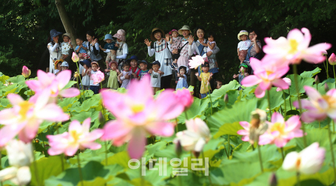 [포토]'연꽃단지 찾은 어린이들'