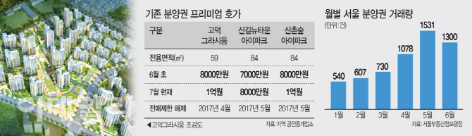 '6·19 대책' 후 2000만원 쑥…규제 비켜난 분양권 '풍선효과'