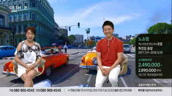 ③TV홈쇼핑 여행상품의 매력은 '다다익선'