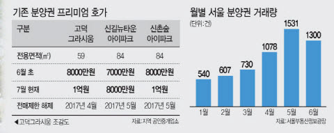 ③잔금대출 DTI 적용에도…기존 분양권시장 '쏠림'