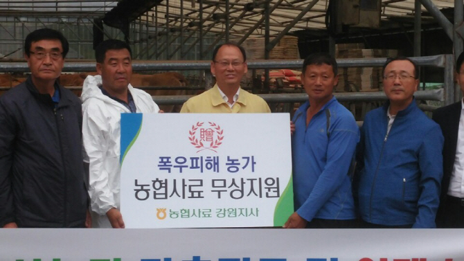 김태환 농협축산경제대표이사, 강원 집중호우 피해농가 방문