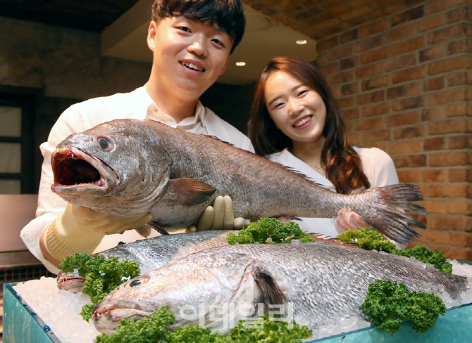 [포토]현대百, 초복엔 임금님 수라상에 오르던 '대물 민어'로 몸보신 하세요~!