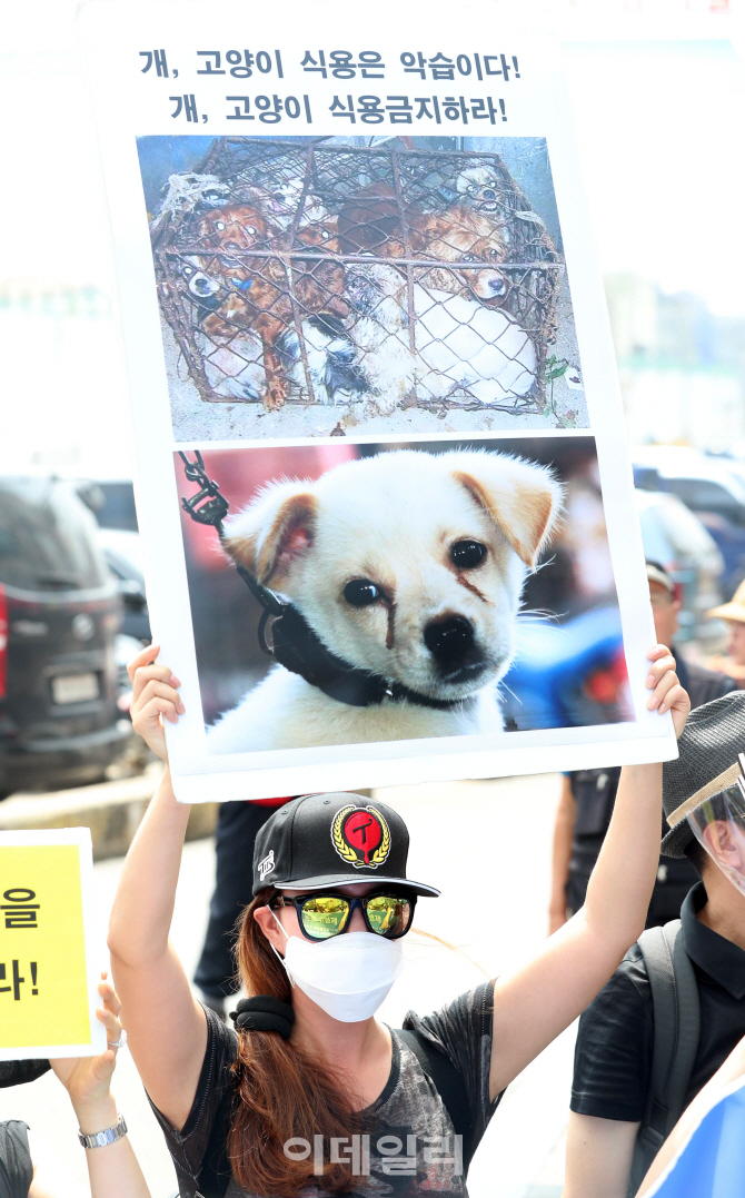 [포토]'초복, 개고기 반대 기자회견'