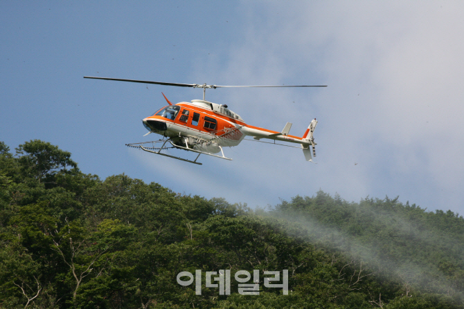 산림청, 전국 25개 시·군·구 밤나무 재배지 항공방제 실시