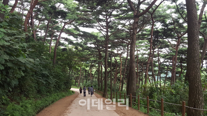 유한킴벌리·생명의숲·산림청, 아름다운 숲 전국대회