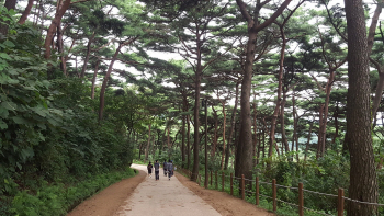 유한킴벌리·생명의숲·산림청, 아름다운 숲 전국대회